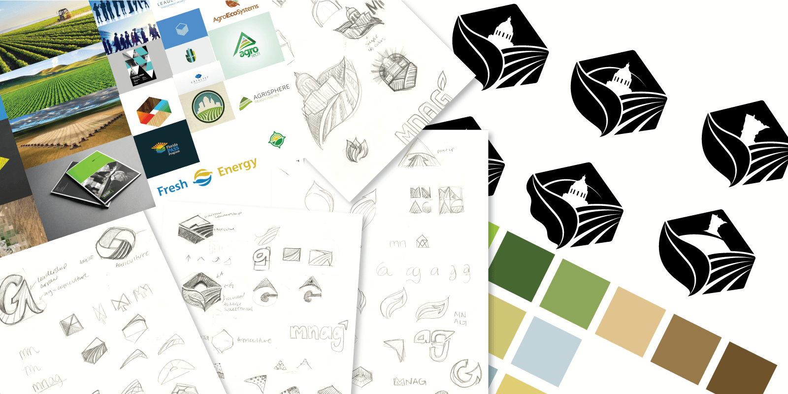 A collage of the moodboard, sketches, digital sketches, and color palette options