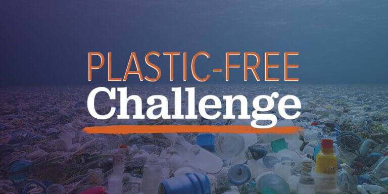 An underwater landscape covered in plastic waste.