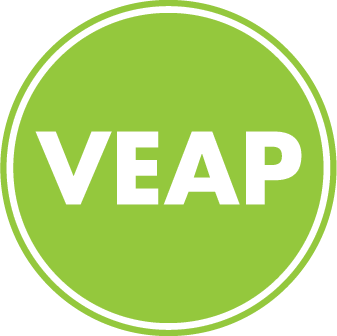 VEAP logo featuring the word “VEAP” in bold white capital letters centered inside a bright green circle with a white border.