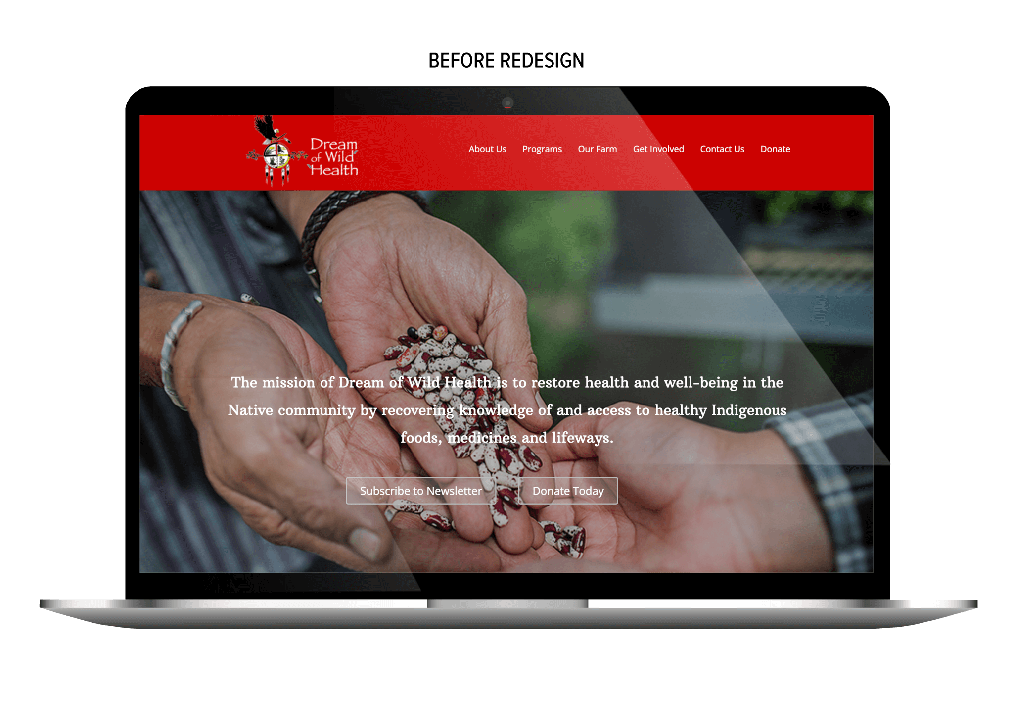 Dream of Wild Health homepage before ArcStone’s redesign, featuring a photo of hands holding seeds beneath a red navigation bar and mission statement.